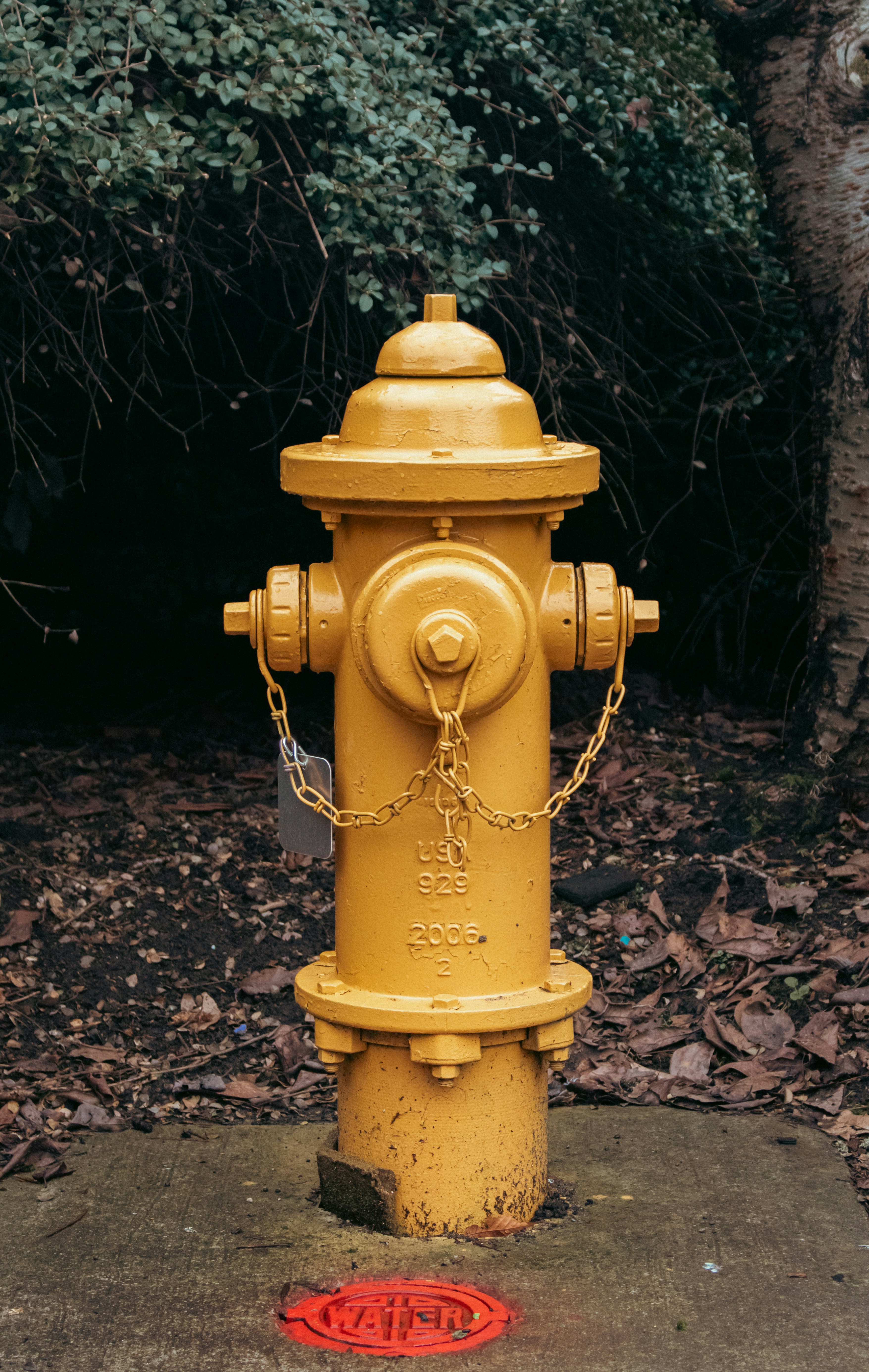 Zoshua Colah HDxNe YnU2g Unsplash