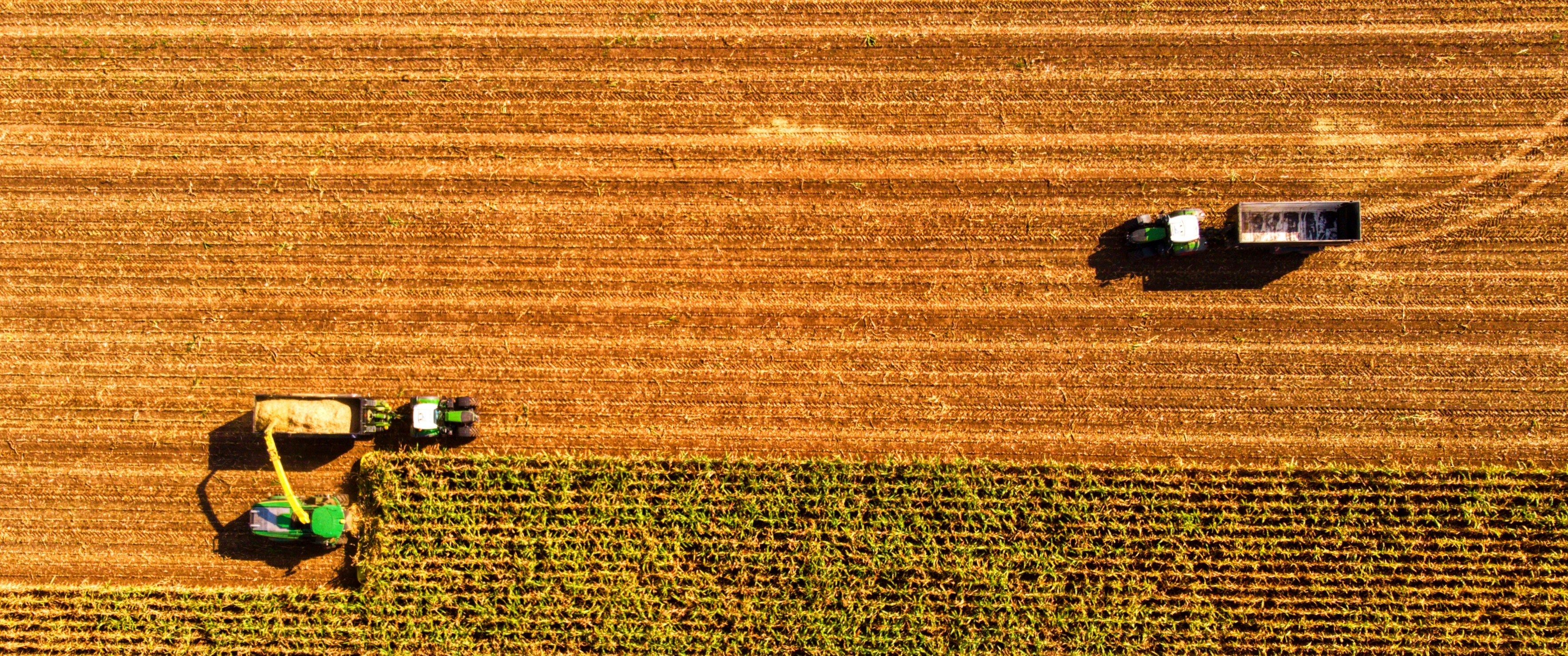 Bernd Dittrich YoXcJOr9uuc Unsplash