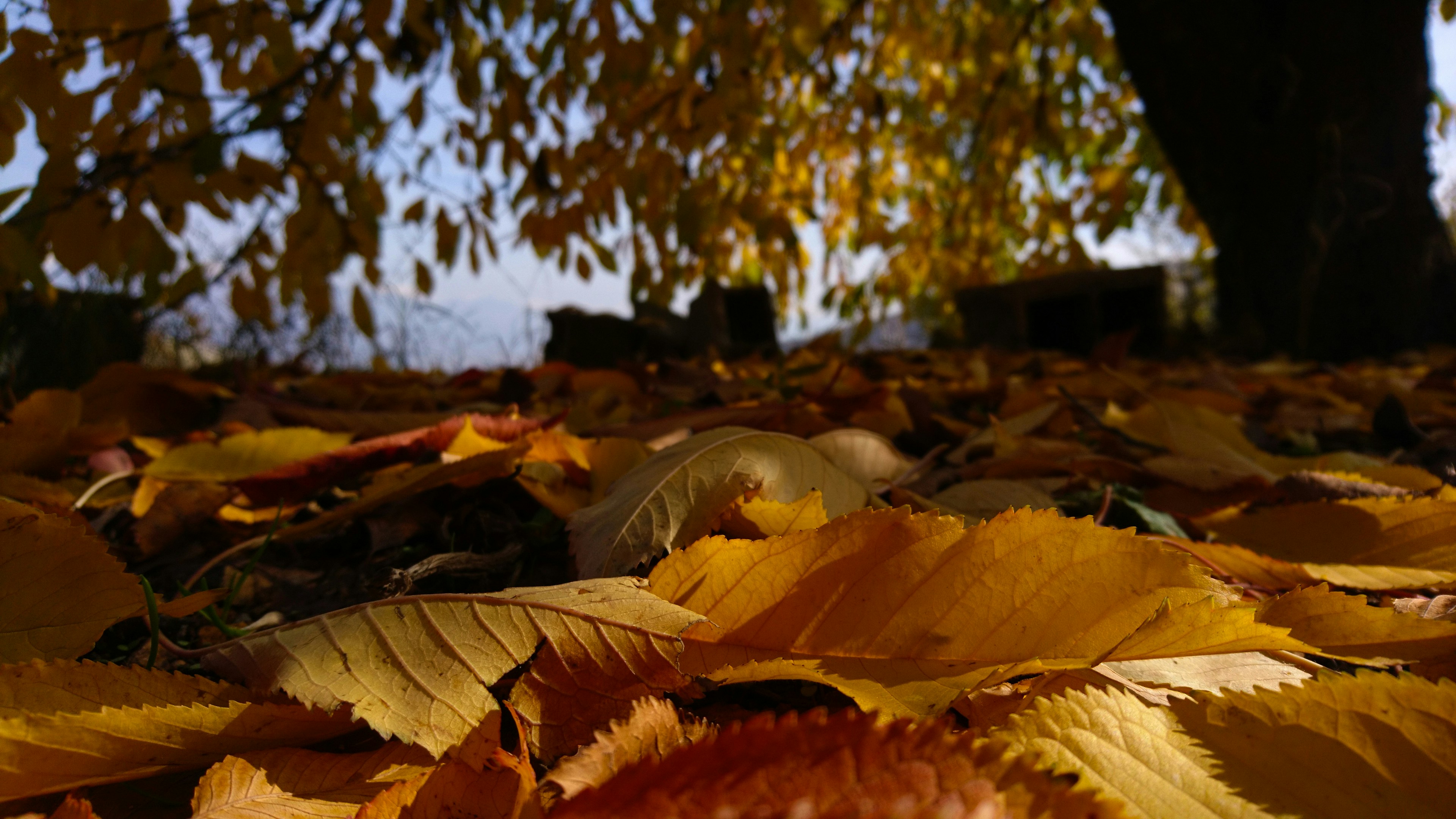 Sepehr Behnamifar 6UyPHVfdu6s Unsplash