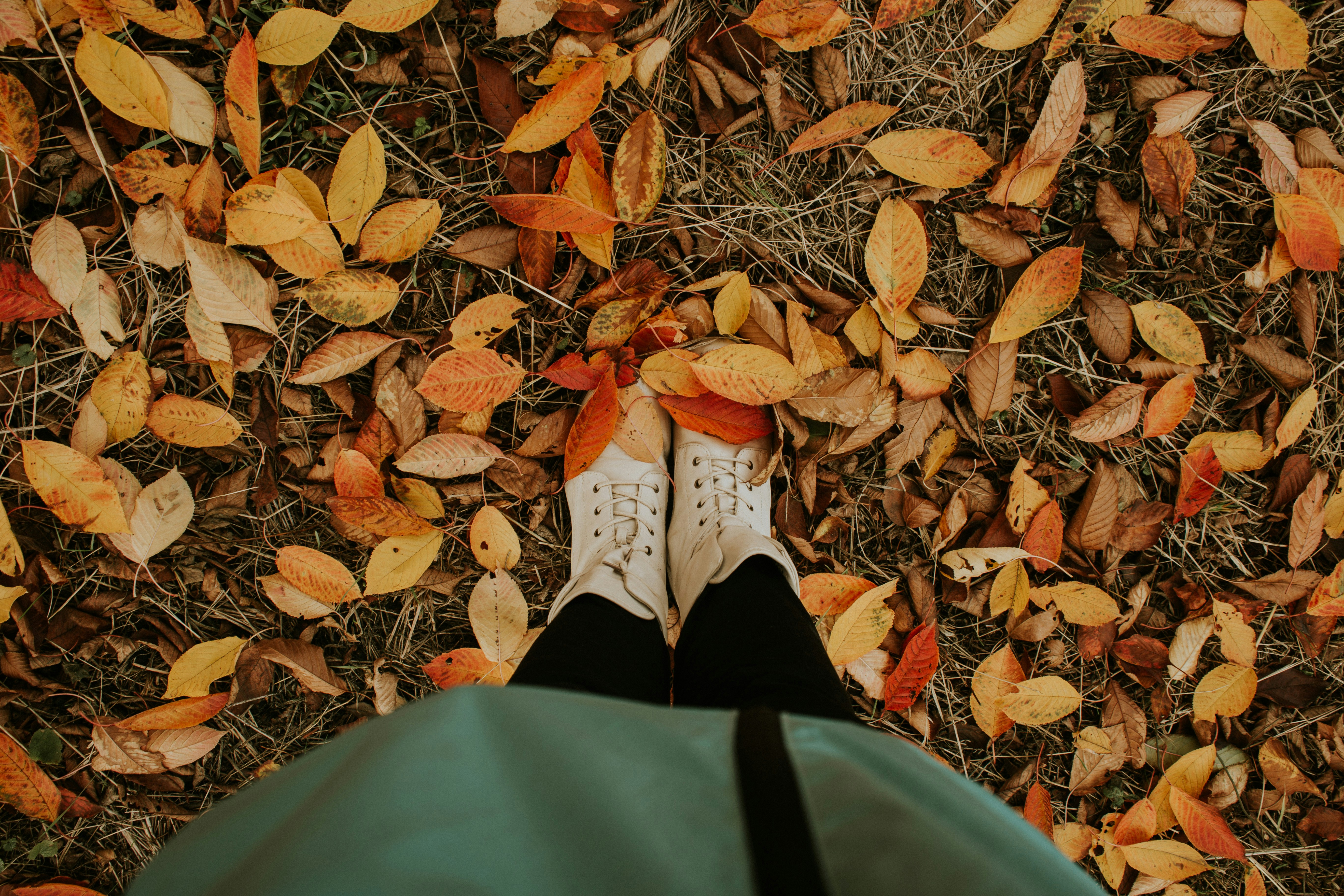 Autumn Artistry Returns to Bismarck Oct. 17