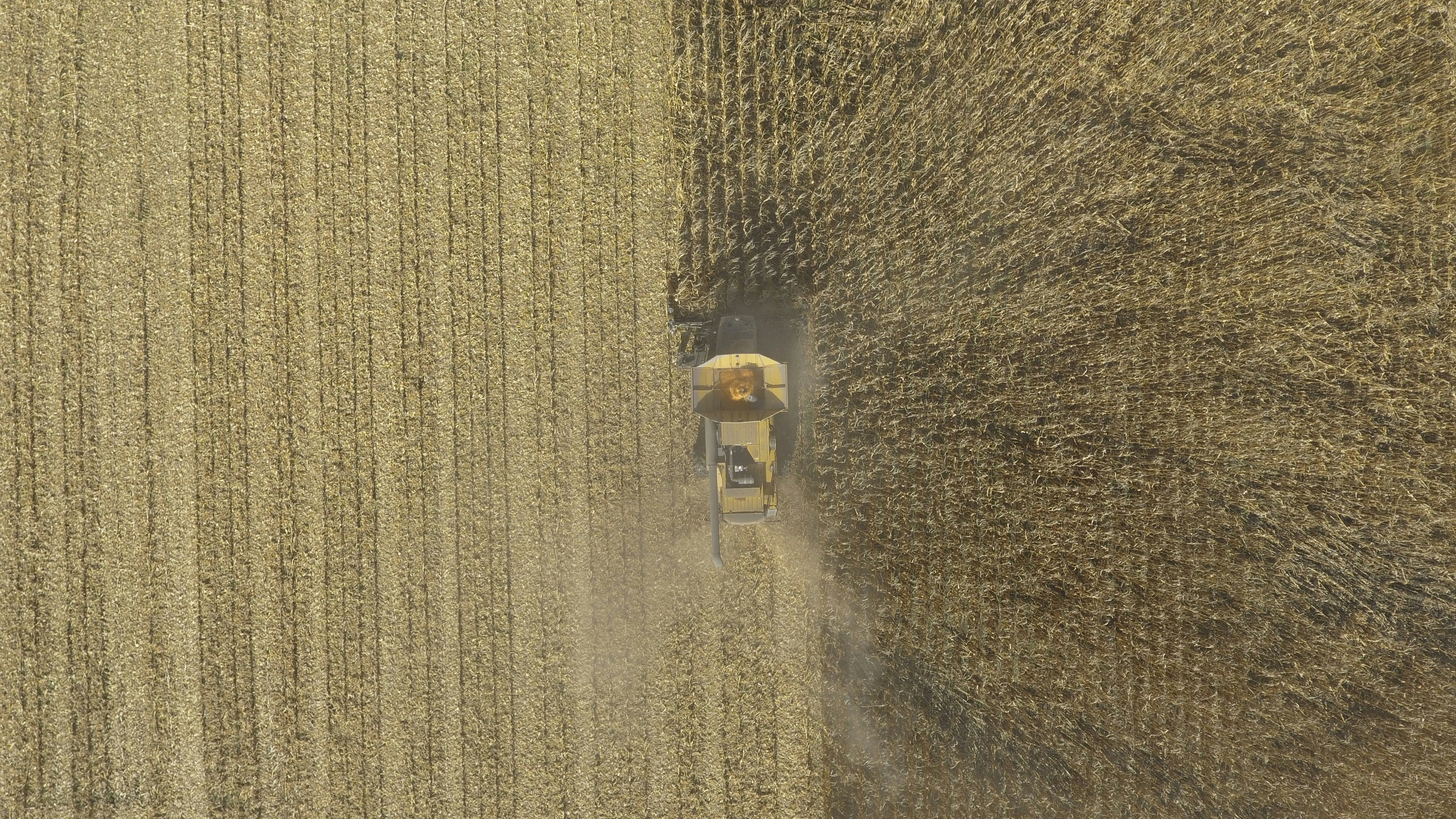 Strong Wheat Year — Yet Many Bismarck Farms Still Lose